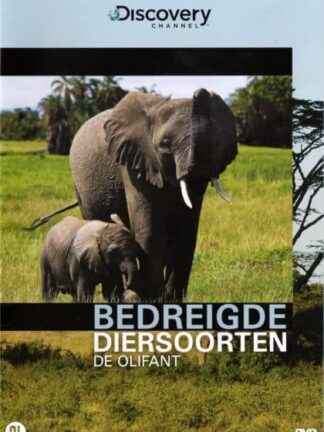 De Olifant Bedreigde Diersoorten