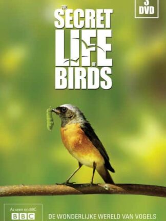 Secret Life of Birds