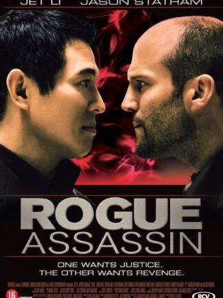 Rogue Assassin