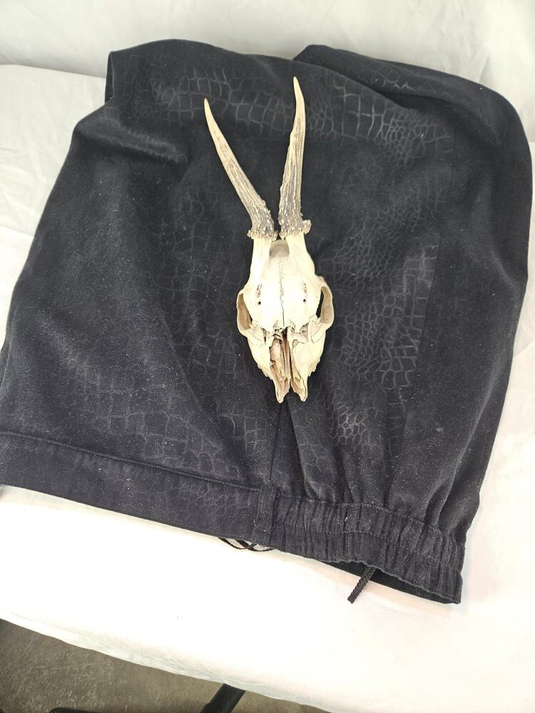 Schedel decoratie van ree - Afbeelding 5